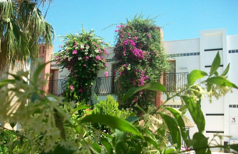 Kriss Otel Ortakent Exterior foto